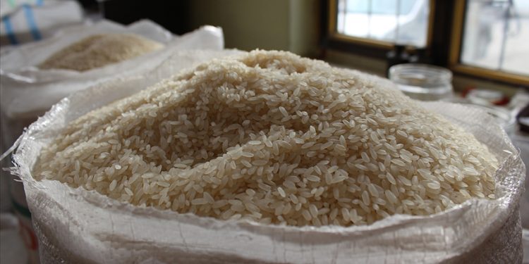 2023 yılında küresel pirinç piyasasının son 20 yılın en büyük arz açığı ile karşı karşıya olduğu raporlaştırıldı.