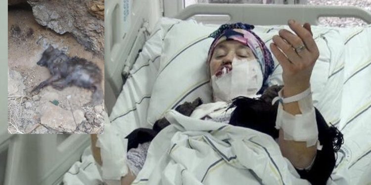 Kurt saldırısına uğrayan Uğurlu: Köpekler havlamaya başlayınca kurt beni bıraktı