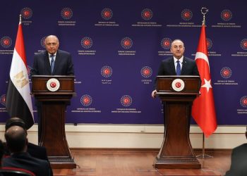 Mısır Dışişleri Bakanı, Türkiye’ye Suriye’den askerlerini çekme çağrısı yaptı