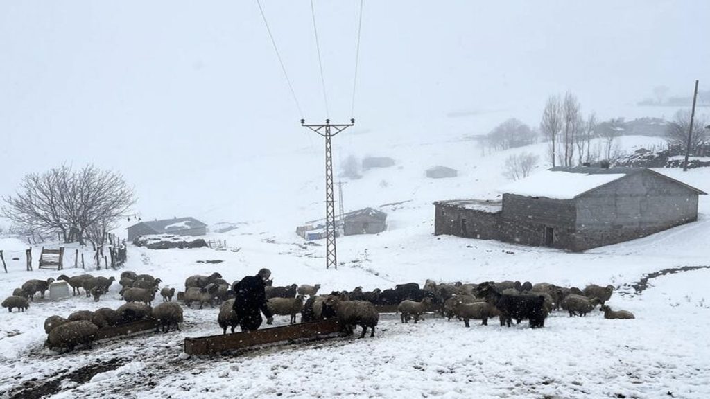 Muş'a kar yağdı, 30 köy yolu ulaşıma kapandı