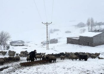 Muş'a kar yağdı, 30 köy yolu ulaşıma kapandı