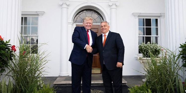 Savaşmaya devam edin sayın başkan