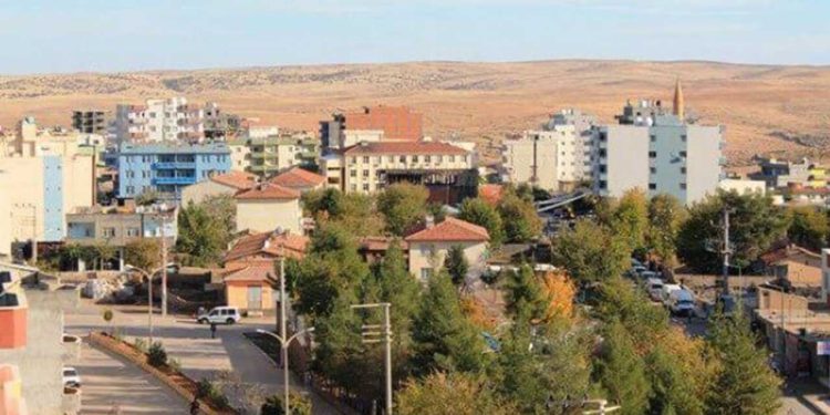 Şırnak'ta 20 kişi gözaltına alındı