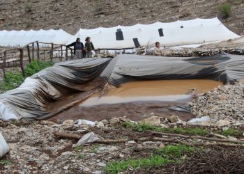 Şırnak'ta sele kapılan 205 koyun ve keçi öldü