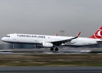 THY uçağında yolcu, kabin memuruna saldırdı: Acil iniş yapıldı