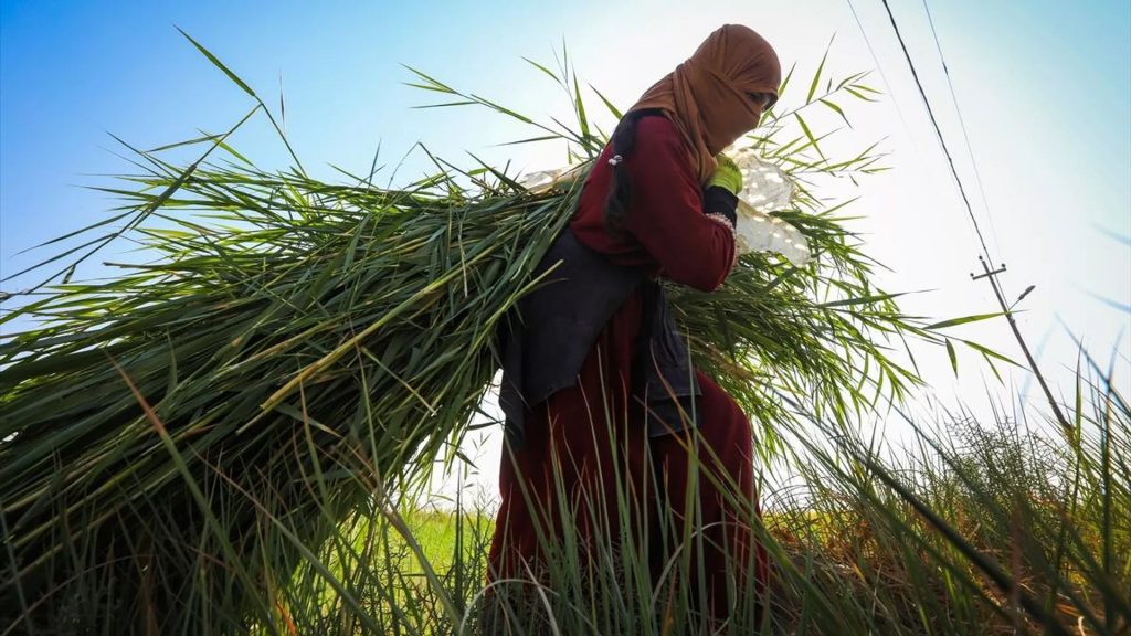 Tarımsal girdi fiyatları yüzde 70 arttı