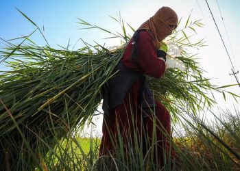 Tarımsal girdi fiyatları yüzde 70 arttı