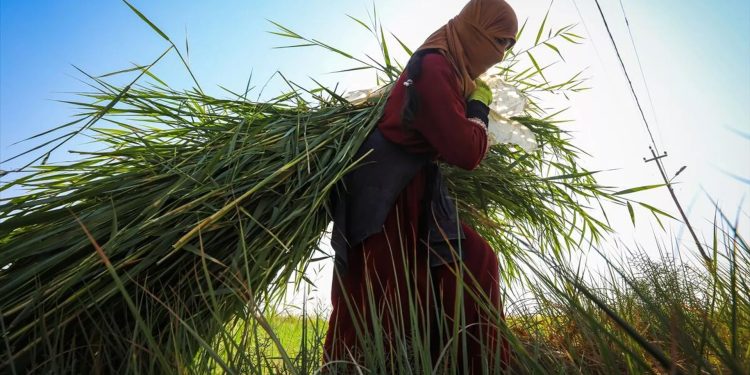 Tarımsal girdi fiyatları yüzde 70 arttı