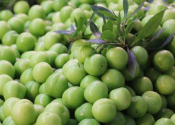 Tezgahlarda yerini aldı, erik fiyatı dudak uçuklattı!