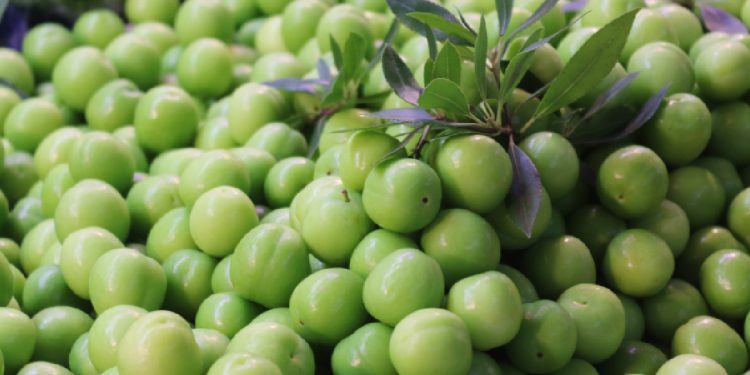 Tezgahlarda yerini aldı, erik fiyatı dudak uçuklattı!