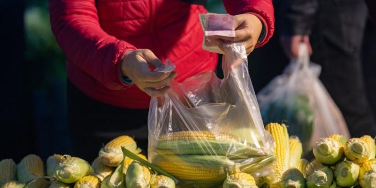 Dünya Bankası'na göre Türkiye, gıda enflasyonunda 5. sırada. Türkiye, bu kategoride OECD ülkeleri arasında ise ilk sırada bulunuyor.