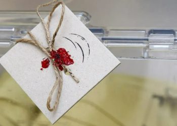 'YSK, hukuksuzca engelledi' diyerek duyurdu: Millet İttifakı'ndan seçmenlerine uyarı