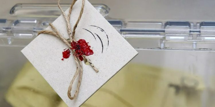 'YSK, hukuksuzca engelledi' diyerek duyurdu: Millet İttifakı'ndan seçmenlerine uyarı