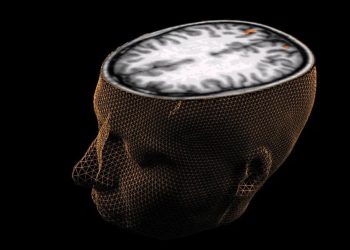 Yapay zeka beynin gördüğü bir görüntüyü yeniden üretti