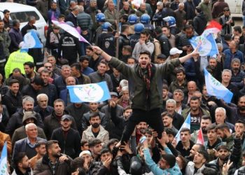 Yeşil Sol Parti: Botan'da kesilen her ağacın hesabını soracağız