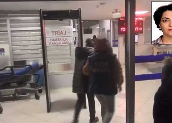 Yeşil Sol Parti milletvekili adayı Dönmez tutuklandı