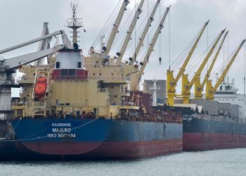 Tahıl Koridorunu Kullanan Gemiler Denetlenemedi