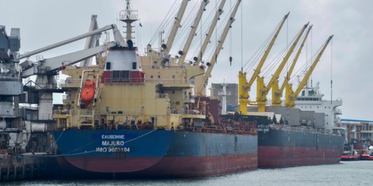 Tahıl Koridorunu Kullanan Gemiler Denetlenemedi