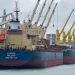 Tahıl Koridorunu Kullanan Gemiler Denetlenemedi