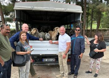 Amerikalı ve Hindistanlı Gönüllülerden Depremzedelere Keçi Yardımı