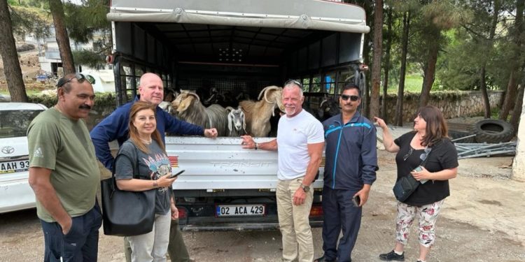 Amerikalı ve Hindistanlı Gönüllülerden Depremzedelere Keçi Yardımı