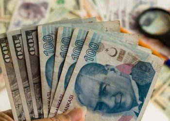 Bloomberg: MB, CDS artışını önlemek için bankalardan dolar tahvili almalarını istedi