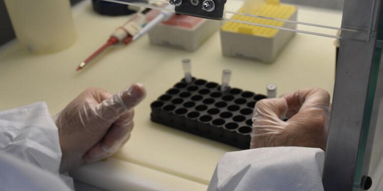 20 yıldır aşı bekleniyor: Havaların ısınmasıyla kene yeniden kendini gösterdi