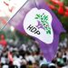 HDP açısından TBMM seçimi: Neden böyle oldu?