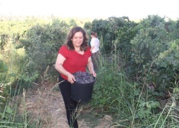 Bismil Belediye Eşbaşkanı Gülşen Özer’e 15 yıl hapis