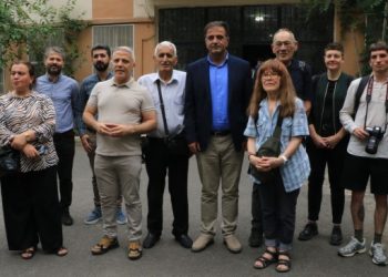 Almanya Sol Parti vekili Amed’te: İnsan hakları için herkes sandık başına