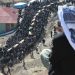 Roboskî Katliamı 137’nci ayında