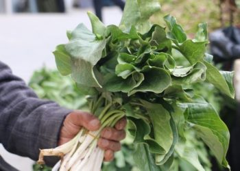 Ekonomik kriz pancarı da vurdu