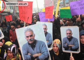 Avrupa Konseyi üyesi Castel, İmralı başvurusuna hazırlanıyor