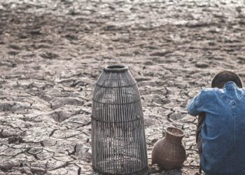 BM: Dünyada 258 milyon kişi gıda yardımına muhtaç