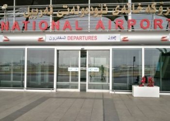 HDP’li Özgüneş Hewlêr Havalimanı’nda engellendi