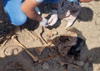 Şengal’de bir toplu mezar daha bulundu