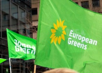 Avrupa Yeşilleri: Demokratik Türkiye mümkün