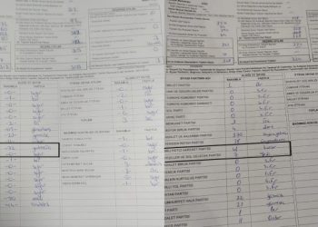 Yeşil Sol Parti’nin oyları nereye gitti?