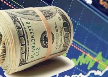 Dolar 20 TL’ye dayandı