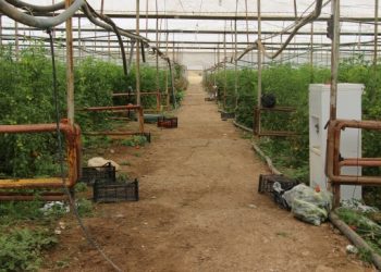 AKP tarım ve hayvancılığı bitirdi