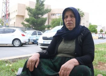 Emine Şenyaşar: Adalet dayanışmayla gelir