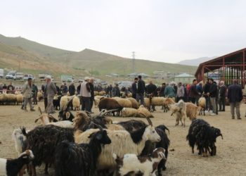 Çiftçinin alım gücü kalmadı