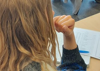 Aile birleşimine Almanca engeli