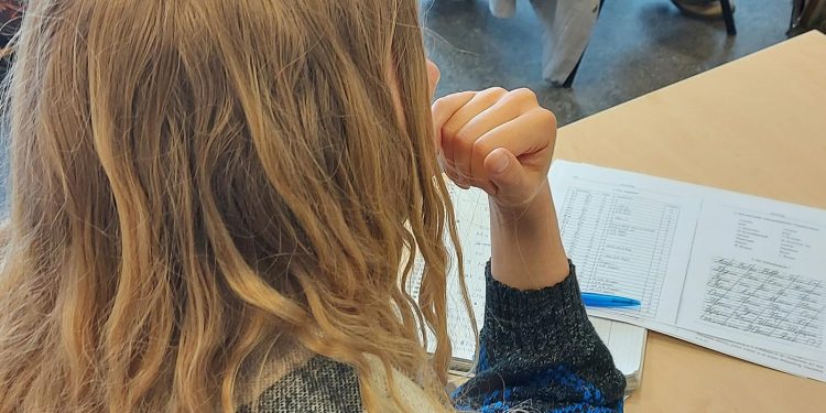 Aile birleşimine Almanca engeli