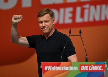 Alman Sol Parti Türkiye'deki muhaliflere vize kolaylığı istedi