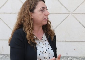 Aydeniz: Seçimin kilidi Kürtlerdir