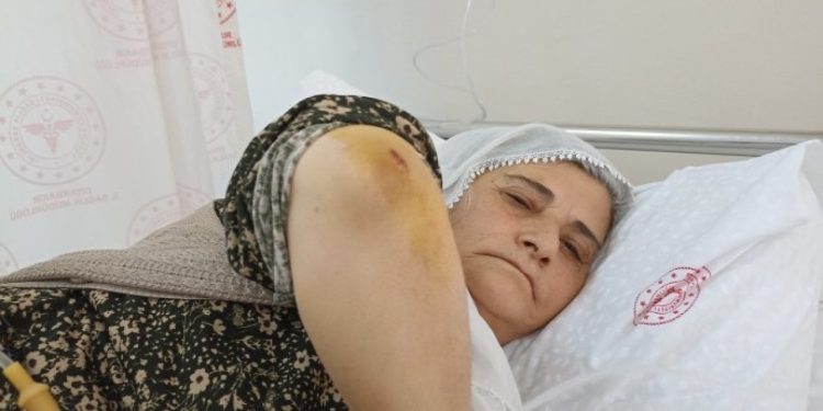 Diyarbakır'da bir kadın, DİSKİ personeli tarafından darp edildi