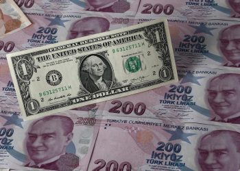 Dolar 20 liranın üzerini gördü