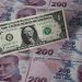 Dolar 20 liranın üzerini gördü