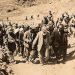 HDP:  Dersim katliamıyla yüzleşmek barış için şarttır